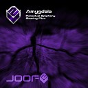 Amygdala - Perpetual Epiphany Original Mix