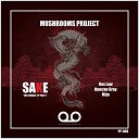 Mushrooms Project - Sake Duncan Gray Slomo Remix