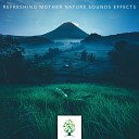 Mother Nature Sound FX - Birds and Wind