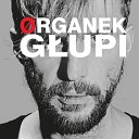 Organek - G upi ja