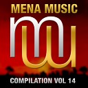 Mena Music feat Aaron McClelland - Party Everywhere Radio Edit
