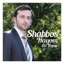 Eli Begun - Shabbos Hayom