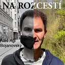 Ale Agi Bojanovsk - Na rozcest Acoustic version