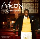 Akon ft Sean Paul - I Wanna Love You Official Re