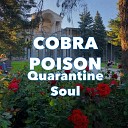 Cobra Poison - Quarantine Soul