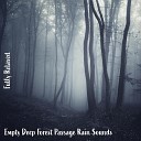 Steve Brassel - Empty Deep Forest Passage Rain Sounds Pt 2