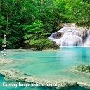 Steve Brassel - Calming Jungle Natural Soundscape Pt 10