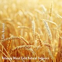Steve Brassel - Relaxing Wheat Field Natural Ambience Pt 4