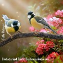 Steve Brassel - Undisturbed Forest Birdsong Ambience Pt 11