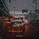 Spa ASMR Rain Sounds Entspannungsmusik - Rainforest Rains