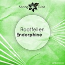 Rootfellen - Endorphine Original Mix