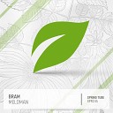 BRAM - Meloman Original Mix