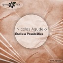 Nicolas Agudelo - Endless Possibilities Original Mix