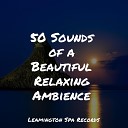 ASMR Sleep Sounds Sounds of Nature for Deep Sleep and Relaxation Sleep Sounds… - Chilling Music