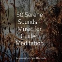Deep Sleep Meditation Relaxing Nature Sounds Collection Rain Sounds Factory… - Music for Stress Relief