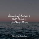 Echoes of Nature, Guided Meditation Music Zone, The Relaxation Principle - River of Dreams