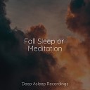 Baby Relax Music Collection M sica Zen Relaxante Sounds of Nature White Noise for Mindfulness Meditation and… - Healing Dreams