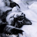 Музыка для кошек Фоновая… - Чувство Котята