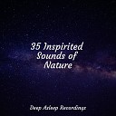 ambiente Chakra Meditation Universe Easy Sleep… - Deep Blue Sea