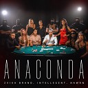 Zvika Brand feat INtellegent amp NAWAN - Anaconda