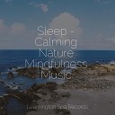 Musica Reiki Rainfall for Sleep Fabricantes De… - Tranquil Binaural Sounds