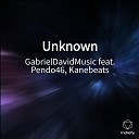GabrielDavidMusic feat Kanebeats Pendo46 - Unknown