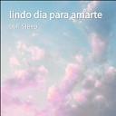 Lofi Sleep - Ere Due a De Mi Amor