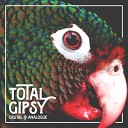 Total Gipsy - Un signal