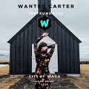 Wanted Carter - Non Copyright Sad Trap Instrumental Beat For Youtube Videos Relax Meditation Running Travelling Music Documentaries…