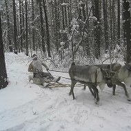 Анатолий Евтушок