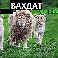 Давлатманд Сайфулоев