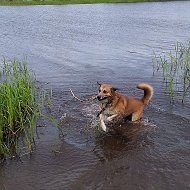 Аня Евграфова