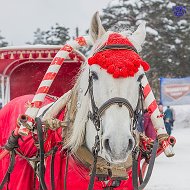 Нестор Петров