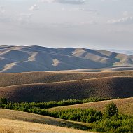 Александр Савченко