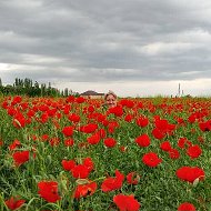 Алена Юрьевна