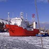 Андрей Зиновьев