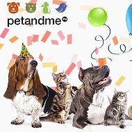 Зоомагазин Petandme