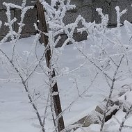 Жухрай Шихабдулаев