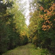 Галацану Павел