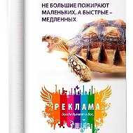 Обьявления Реклама