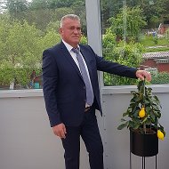 Владимир Вальдт