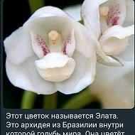 Надежда 🌹🌹🌹