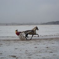 Cаня Шнайдер