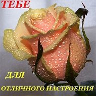 Светлана Ткачева