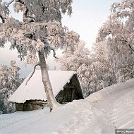 Антон Фомин