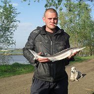 Александр Шубников