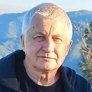 Сергей Курдин