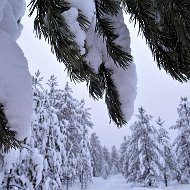 Юлия Крупенникова