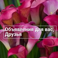 Объявления Для