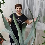 Наталья Шошина